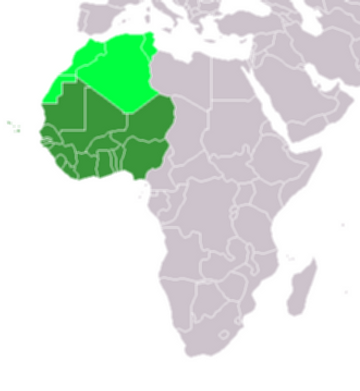 서아프리카 위치 [사진출처: 나무위키]